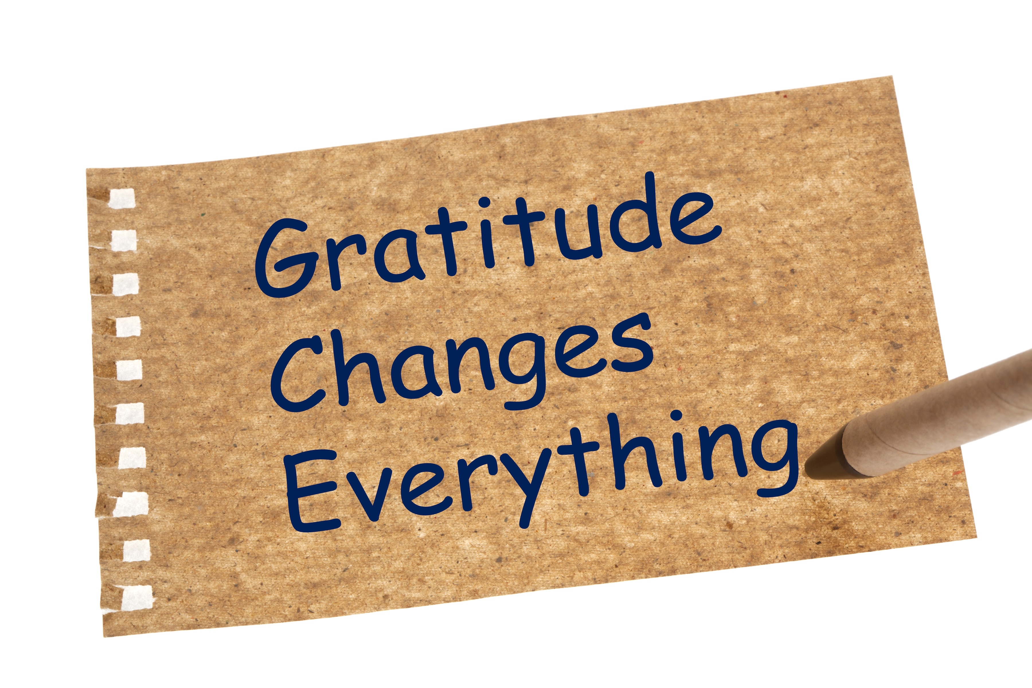 Cultivating Grateful Leadership in the Season of Thanksgiving